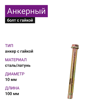 Анкерный болт с гайкой 10х100