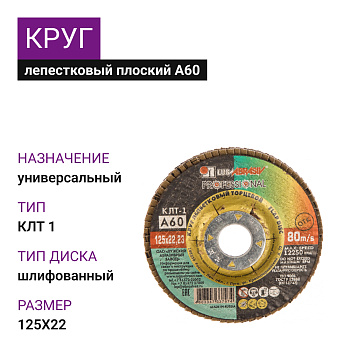 Круг лепестковый плоский Луга КЛТ1 125х22 А60 (14А 25/Р60) (25шт)